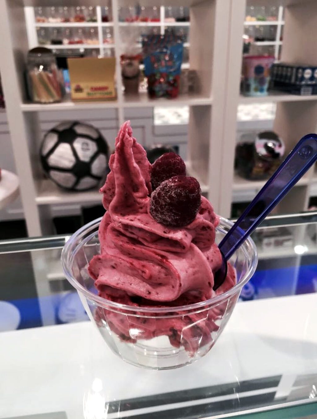 Un tofu glacé aux fruits du Gourmandin, Quartier culturel des Faubourgs, Montréal